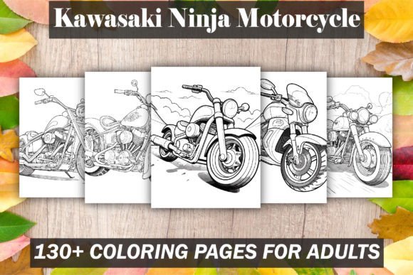 Kawasaki Ninja Motorcycle Coloring Book