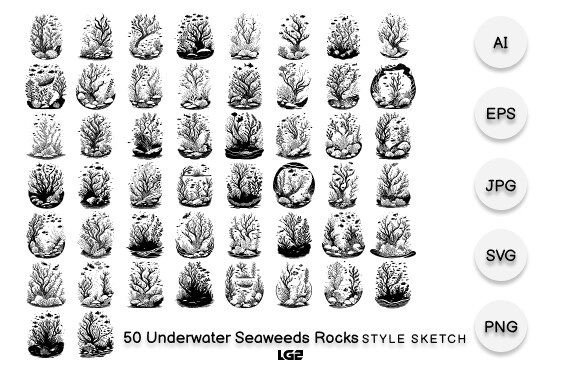 Unlocking Creative Potential with Underwater Seaweeds Rocks Element Black